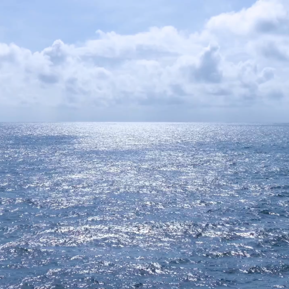 Skärmavbild 2023-04-13 kl. 20.48.20