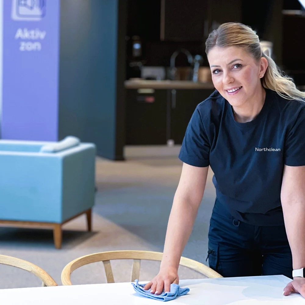 Northclean_1
